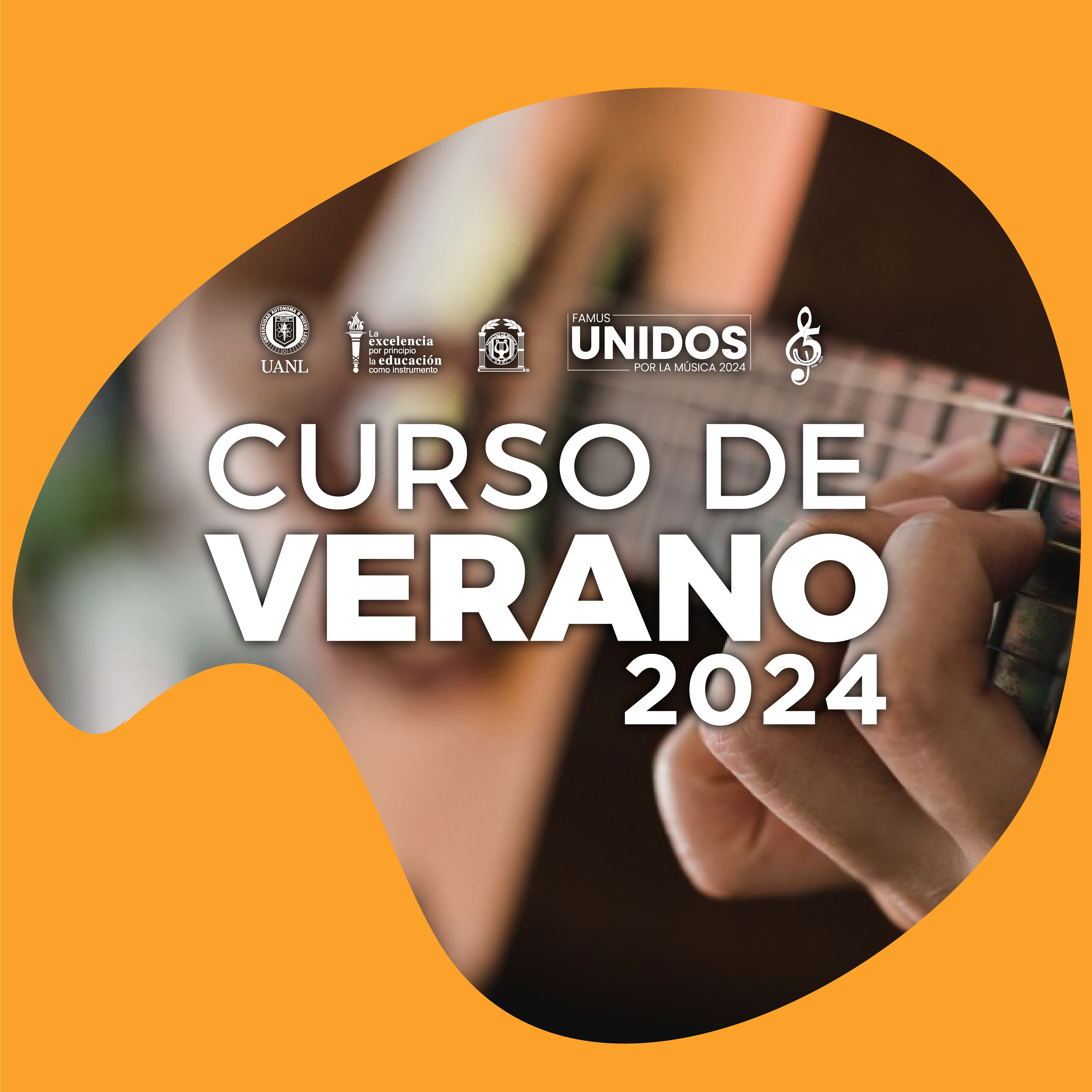 Curso de Verano 2024